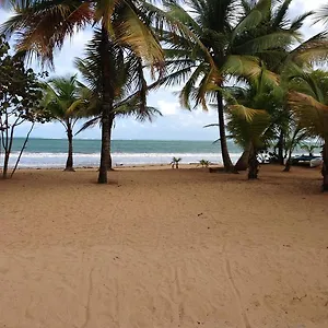 https://beach-front-apartment-rio-mar-puerto-rico.top-hotels-puertorico.com